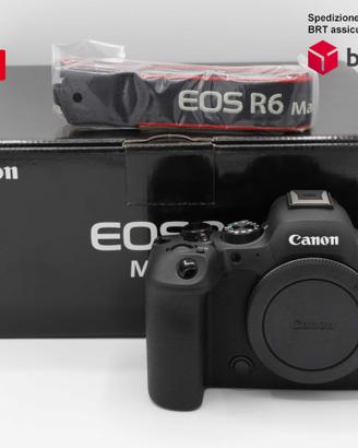 Canon EOS R6 Mark II