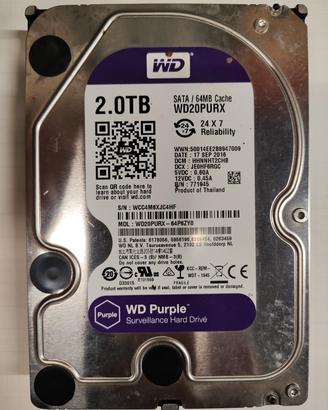 wd purple 2tb