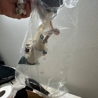 Pompa benzina r 1200gs bialbero 2011