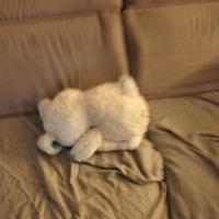 peluche molto bello lo è per i bambini 