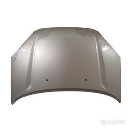COFANO ANTERIORE TOYOTA Rav4 2° Serie 5330142030