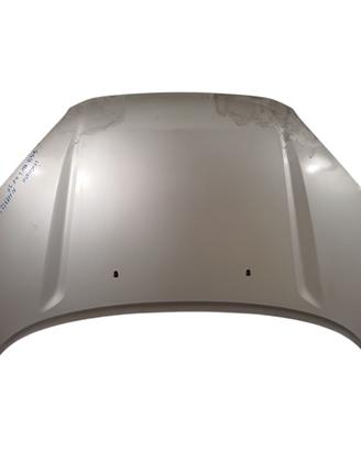 COFANO ANTERIORE TOYOTA Rav4 2° Serie 5330142030
