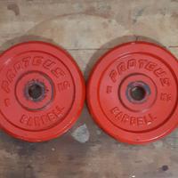 Coppia Dischi da 5kg