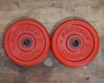 Coppia Dischi da 5kg