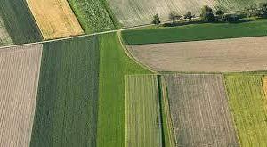 Rif.3703L| terreno agricolo chioggia