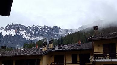 Casa trilocale piano terra con giardino e cantina