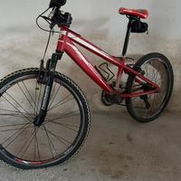 Bici Lombardo 24