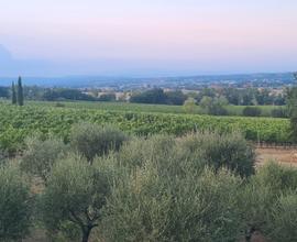 Casale e vigneti