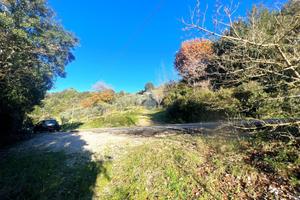 TER. AGRICOLO A TORRI IN SABINA