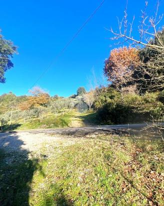 TER. AGRICOLO A TORRI IN SABINA