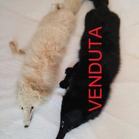 Stola di volpe intera bianca