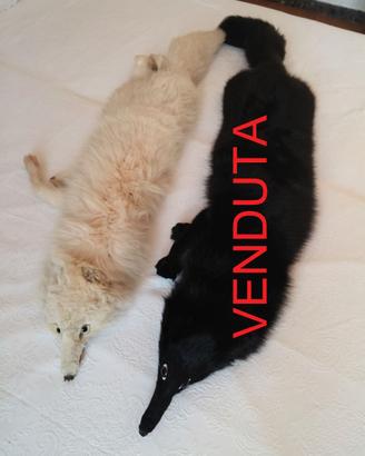 Stola di volpe intera bianca