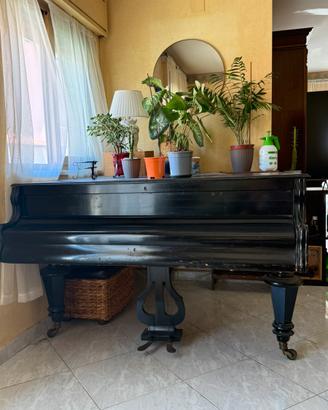 Pianoforte a coda