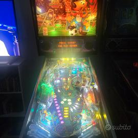 Flipper Word Cup Usa 94