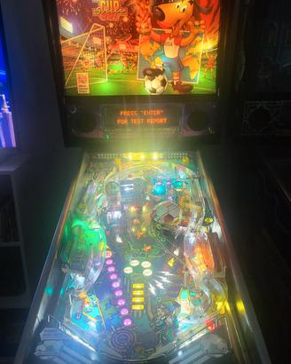 Flipper Word Cup Usa 94