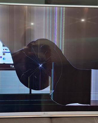 Smart tv LG 43'' schermo rotto