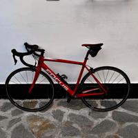 Bici da corsa Focus Izalco Race