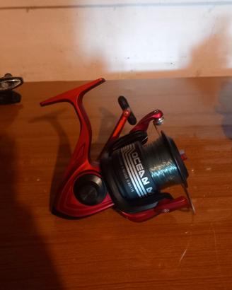  canna e mulinello storione/surfcasting 