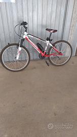 MTB 24 POLLICI MONTANA ESCAPE