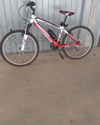 MTB 24 POLLICI MONTANA ESCAPE
