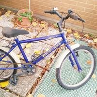 bici bimbo ruote 20"