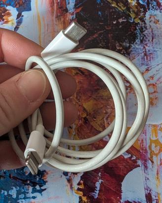 cavo originale iphone usb-c