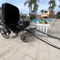 Carrozza in legno