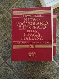 nuovo vocabolario 