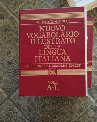 nuovo vocabolario 