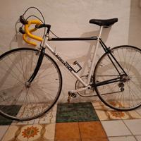 Bicicletta Corsa Adriatica Eroica Campagnolo