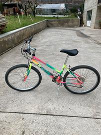 Bicicletta mountain bike da donna