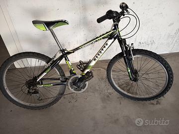 bici raggio 24 