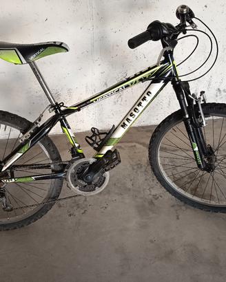 bici raggio 24 
