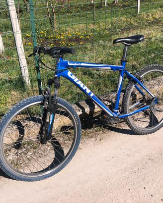 MTB GIANT BOULDER
