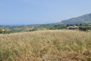 TERRENO ADIFICABILE A CASTELLAMMARE DEL GOLFO