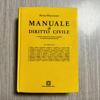Manuale Diritto Civile - Perlingieri- 10° edizione