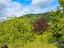 Immagine 26