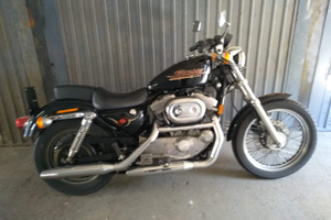 Harley- Davidson 883