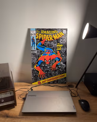 COPPIA QUADRI FOREX AMAZING SPIDER-MAN  Marvel