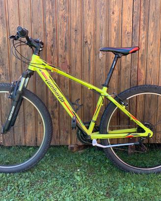 Mtb Lombardo