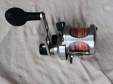 Mulinello cavalla 5-2