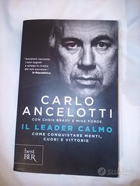 Il leader calmo