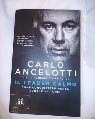 Il leader calmo