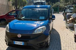 FIAT DOBLÓ REFRIGERATO