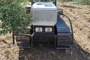 Lamborghini vigneto 
