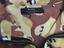 Immagine 3