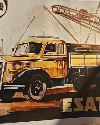 stampe camion