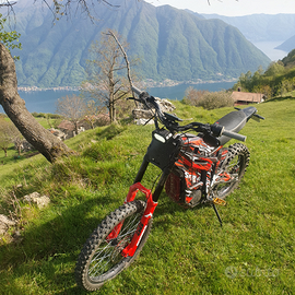 Talaria accessoriata