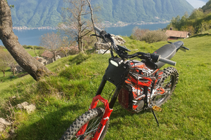 Talaria accessoriata