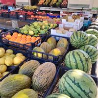 Attività ambulante e itinerante frutta e verdura
